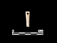 藏品(骨針)的圖片