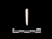 藏品(骨針)的圖片