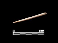 藏品(骨針)的圖片