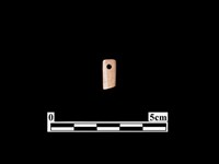 藏品(骨針)的圖片