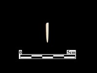 藏品(骨針)的圖片