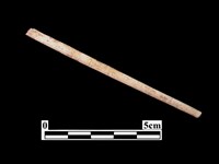 藏品(骨針)的圖片