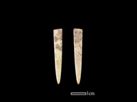 藏品(骨簪)的圖片