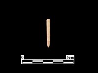 藏品(骨針)的圖片