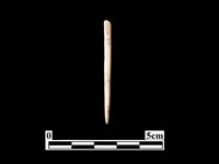 藏品(骨針)的圖片