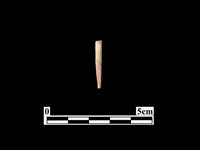 藏品(骨器)的圖片