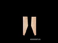 藏品(骨簪)的圖片