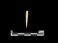 藏品(骨針)的圖片