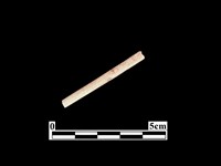 藏品(骨針)的圖片