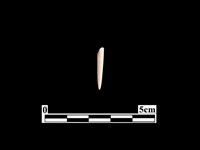 藏品(骨針)的圖片