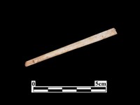 藏品(骨針)的圖片