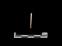 藏品(骨針)的圖片