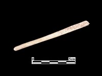 藏品(骨器)的圖片