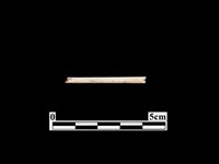 藏品(骨器)的圖片