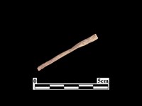 藏品(骨器)的圖片