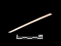 藏品(骨針)的圖片