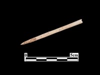 藏品(骨針)的圖片