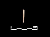 藏品(骨針)的圖片