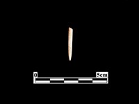 藏品(骨針)的圖片