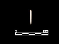 藏品(骨針)的圖片