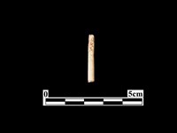 藏品(骨器)的圖片