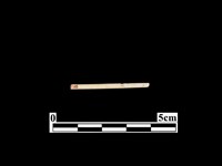 藏品(骨器)的圖片