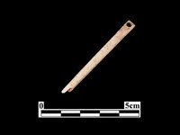 藏品(骨針)的圖片