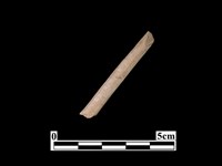 藏品(骨器)的圖片