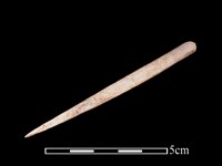 藏品(骨簪)的圖片