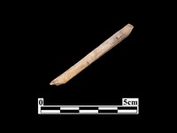 藏品(骨器)的圖片