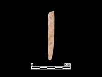 藏品(骨器)的圖片