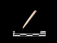 藏品(骨針)的圖片