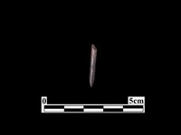 藏品(骨針)的圖片