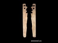 藏品(骨簪)的圖片