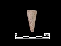 藏品(骨器)的圖片