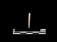 藏品(骨針)的圖片