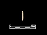 藏品(骨針)的圖片