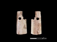 藏品(骨簪)的圖片