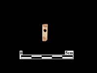 藏品(骨針)的圖片