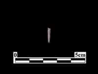 藏品(骨器)的圖片