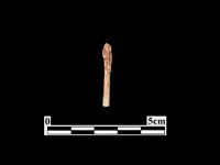 藏品(骨器)的圖片