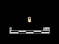 藏品(骨針)的圖片