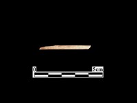 藏品(骨器)的圖片