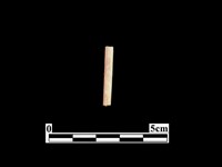 藏品(骨針)的圖片