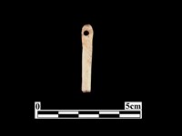 藏品(骨針)的圖片