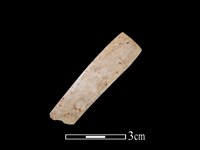 藏品(骨簪)的圖片