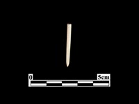 藏品(骨針)的圖片