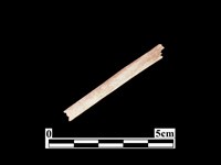 藏品(骨器)的圖片