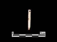 藏品(骨針)的圖片