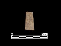 藏品(骨器)的圖片